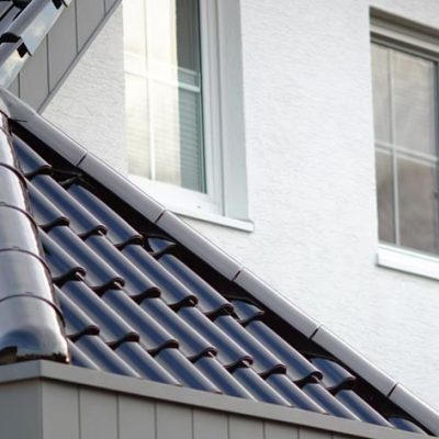 Flavia slika galerije